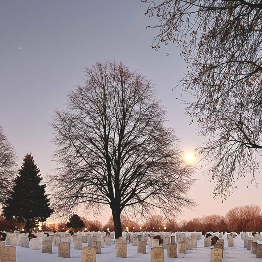 7 Unusual Funeral Flowers You May Not Have Seen Before – Fort Snelling  Cemetery Flowers